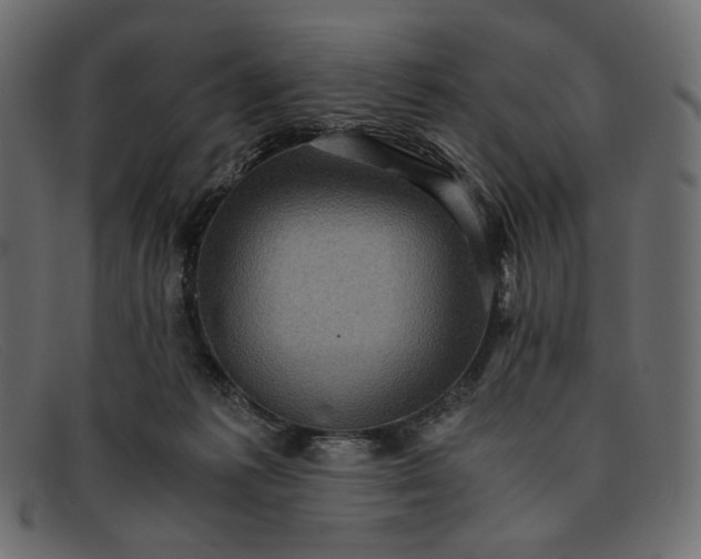 X0000091920221200709191346