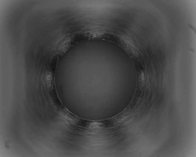 X0000091920222200709191346