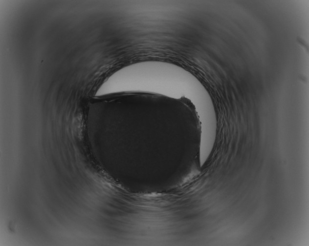 X0000091920223200709191346