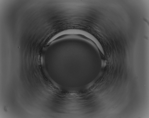 X0000091920224200709191346