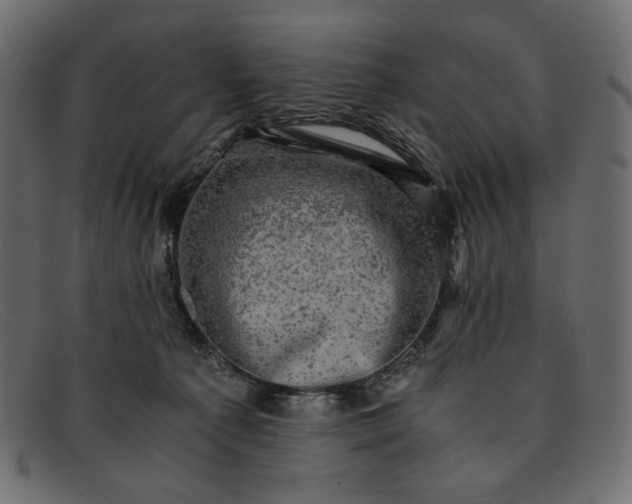 X0000091920225200709191346