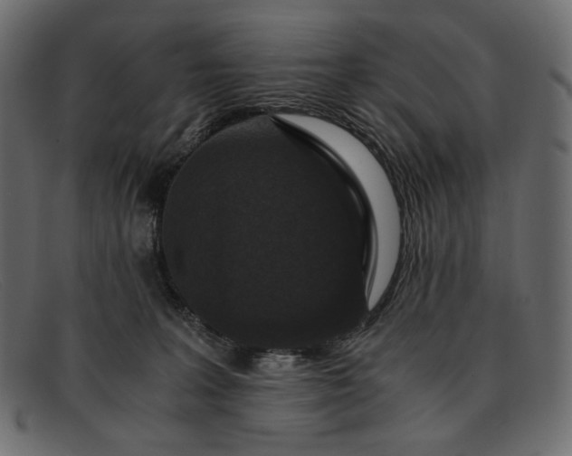 X0000091920227200709191346