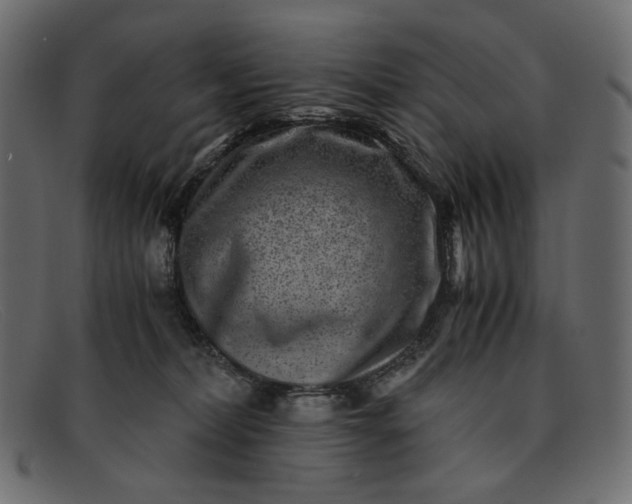 X0000091920228200709191346