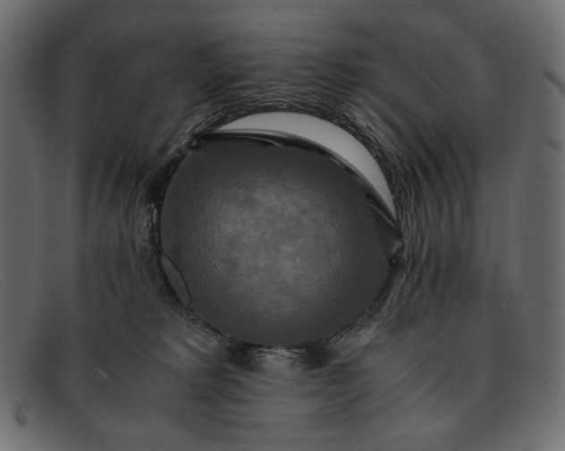 X0000091920229200709191346