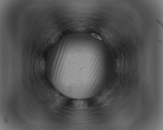 X0000091920230200709191346