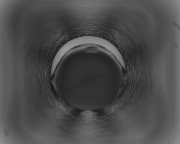 X0000091920231200709191346