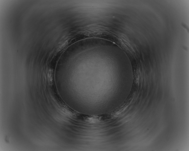 X0000091920232200709191346