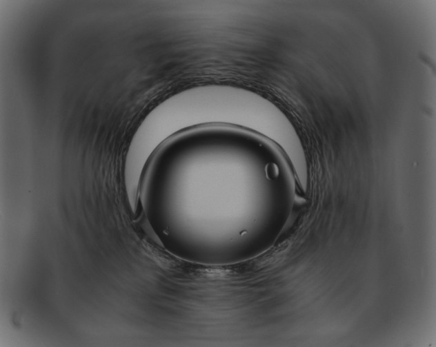 X0000091920233200709191346