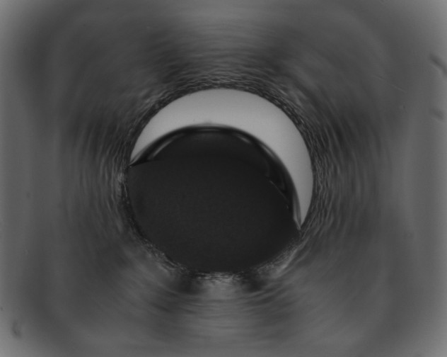 X0000091920235200709191346