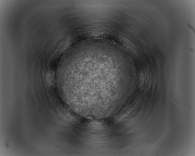 X0000091920236200709191346