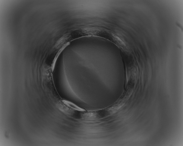 X0000091920237200709191346