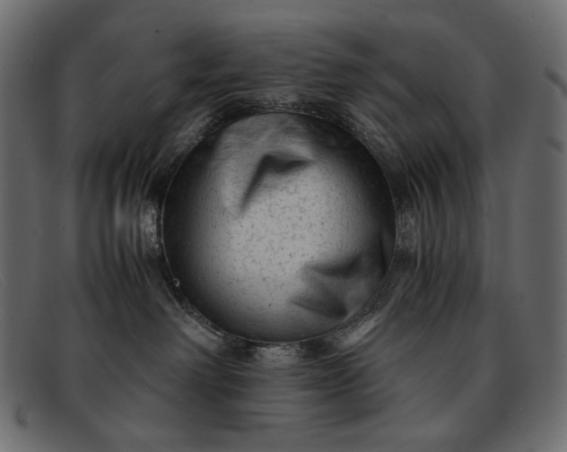 X0000091920238200709191346