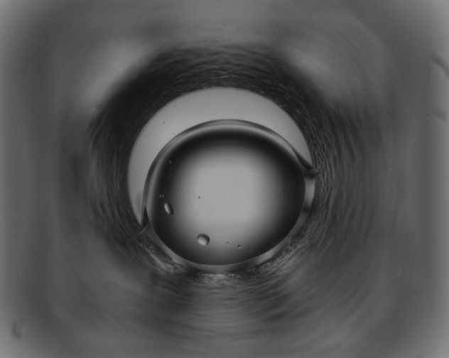 X0000091920239200709191346