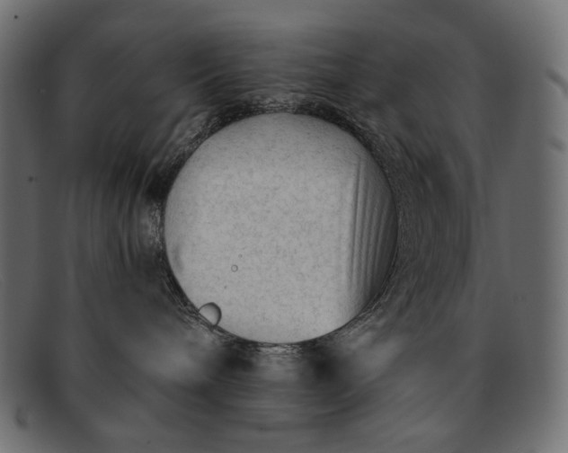 X0000091920240200709191346