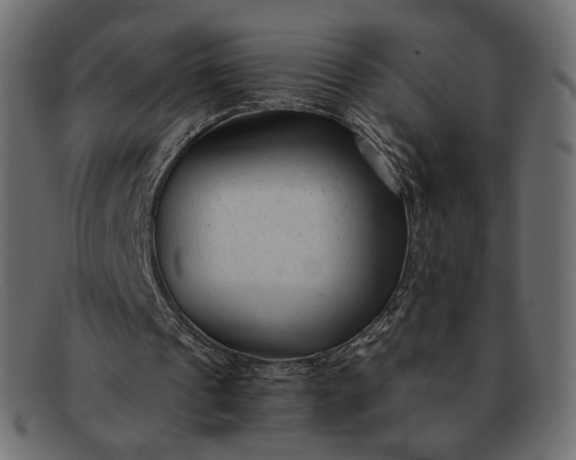 X0000091920241200709191345