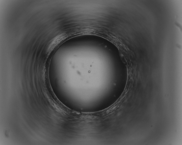 X0000091920242200709191345