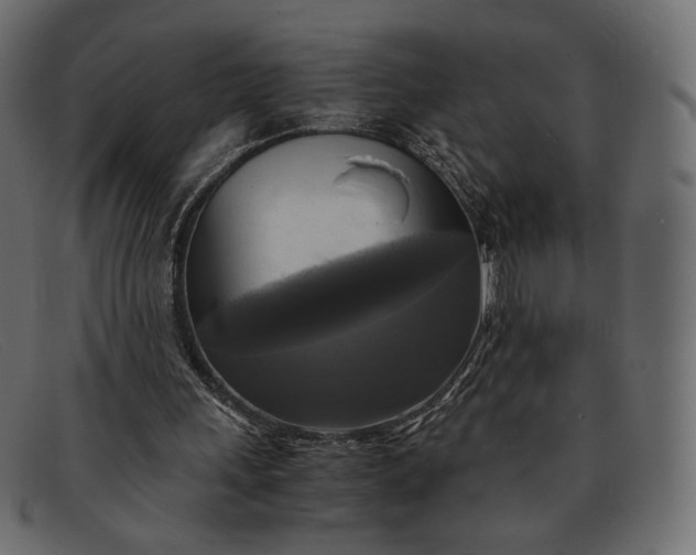 X0000091920243200709191345