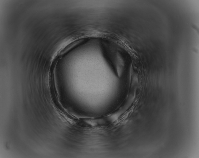 X0000091920244200709191345