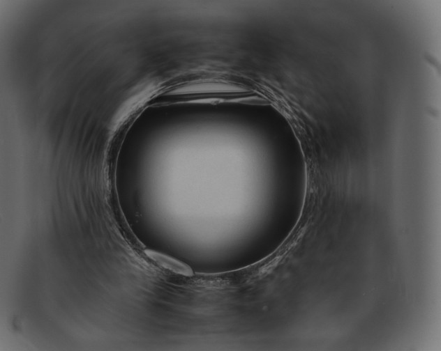 X0000091920245200709191345