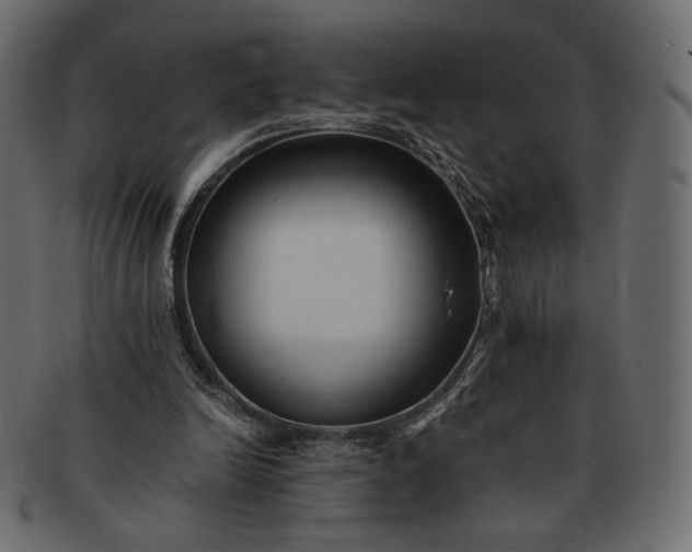 X0000091920246200709191345