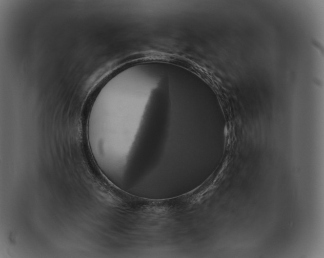 X0000091920247200709191345