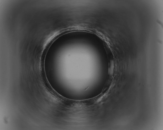 X0000091920248200709191345