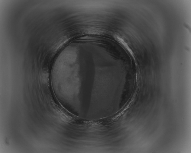 X0000091920249200709191345