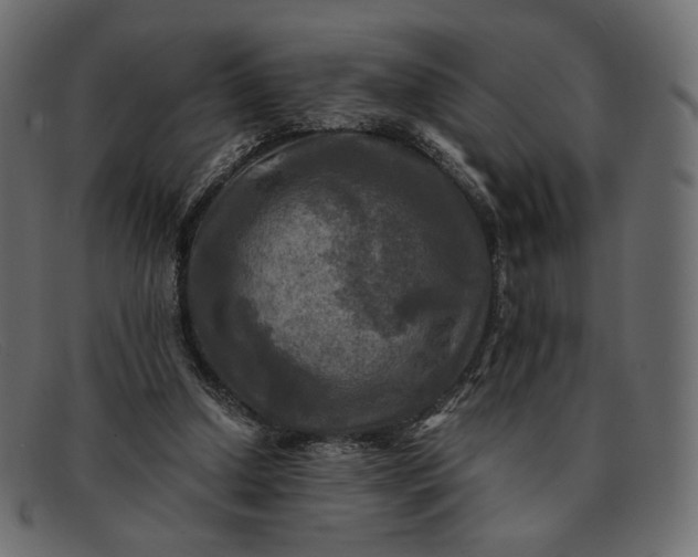 X0000091920250200709191345