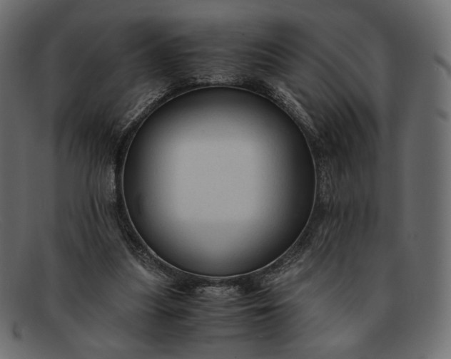 X0000091920251200709191345