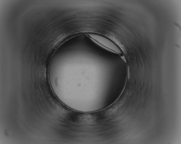 X0000091920253200709191345