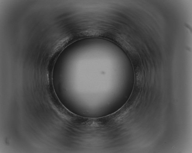 X0000091920254200709191345