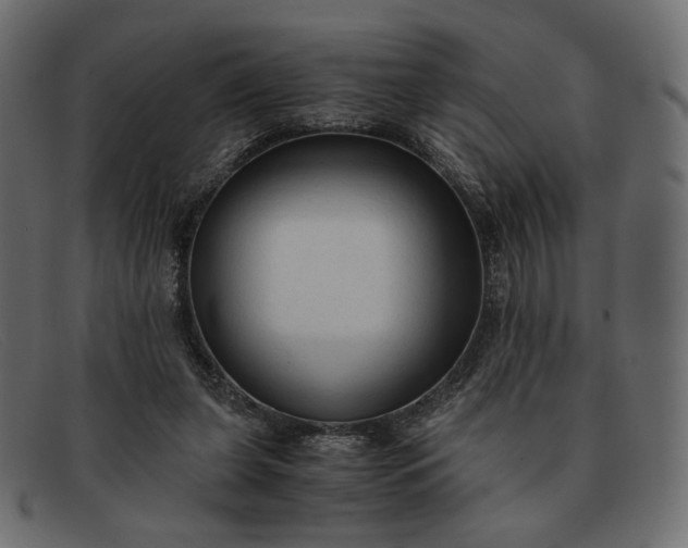 X0000091920255200709191345