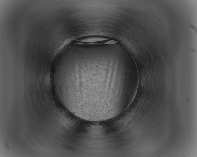 X0000091920256200709191345