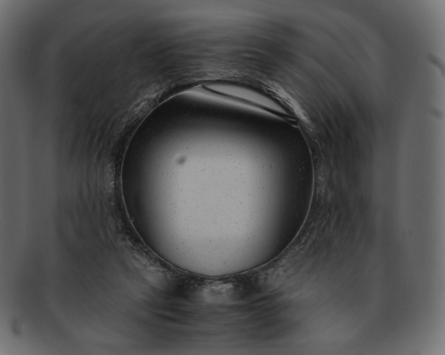 X0000091920257200709191345