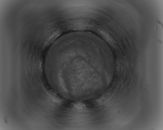 X0000091920258200709191345