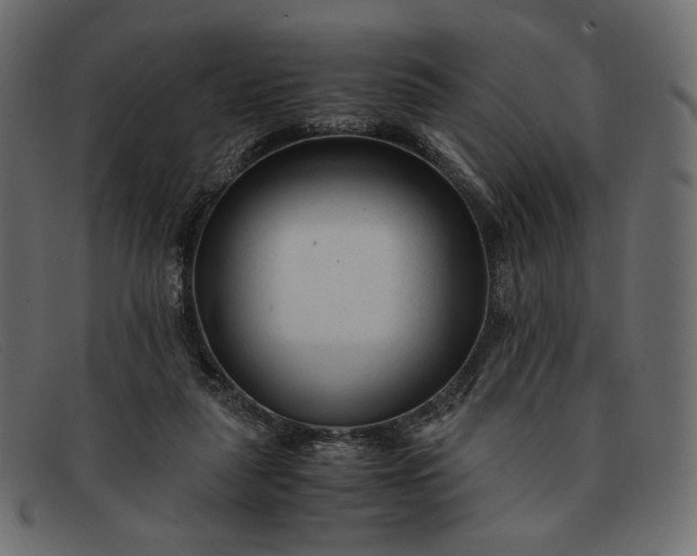 X0000091920259200709191345