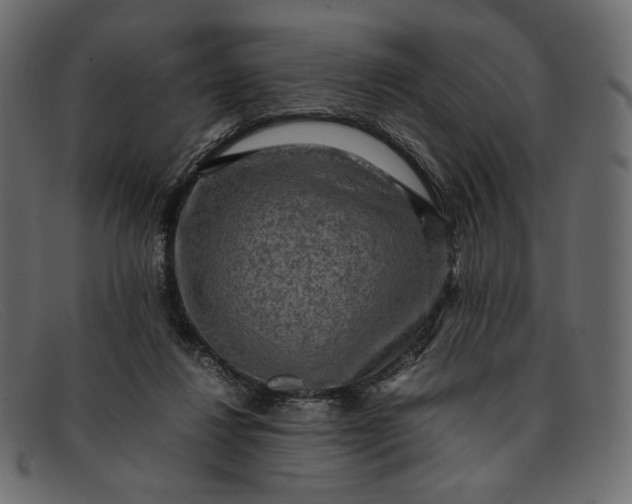 X0000091920260200709191345