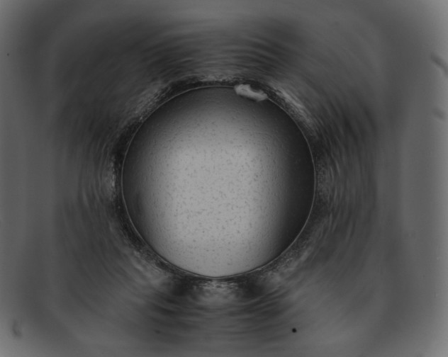 X0000091920261200709191345