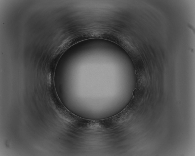 X0000091920262200709191345