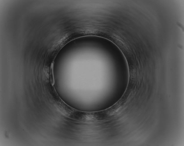 X0000091920264200709191345