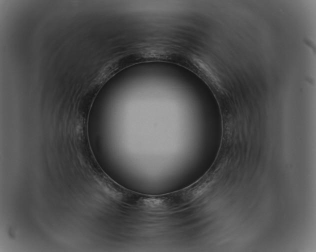 X0000091920265200709191345