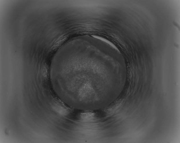 X0000091920266200709191345