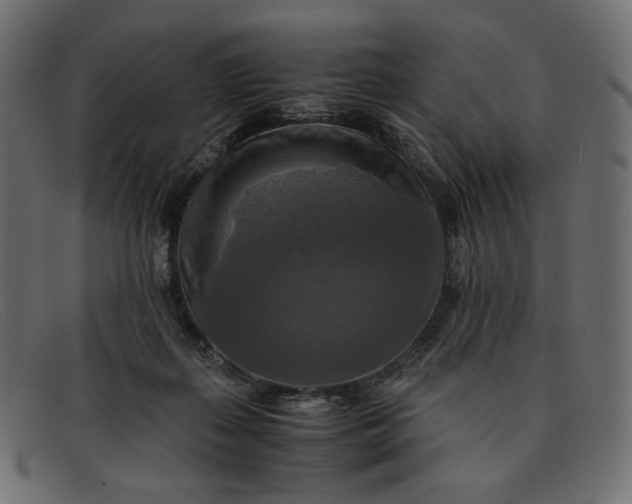 X0000091920267200709191345