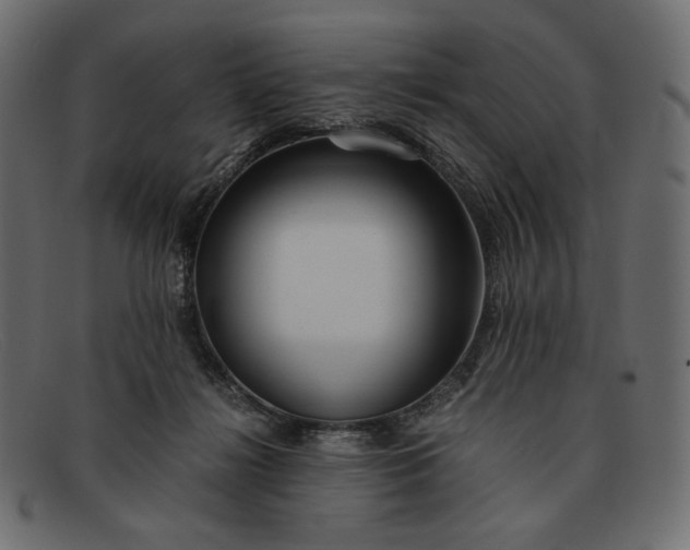 X0000091920268200709191345