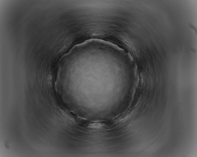 X0000091920269200709191345