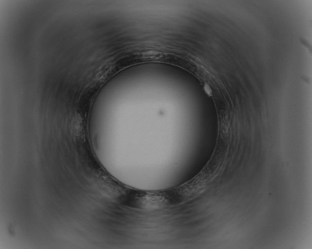 X0000091920270200709191345