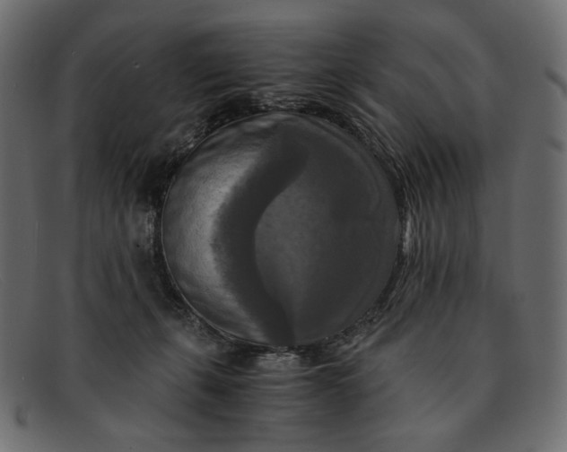 X0000091920271200709191345