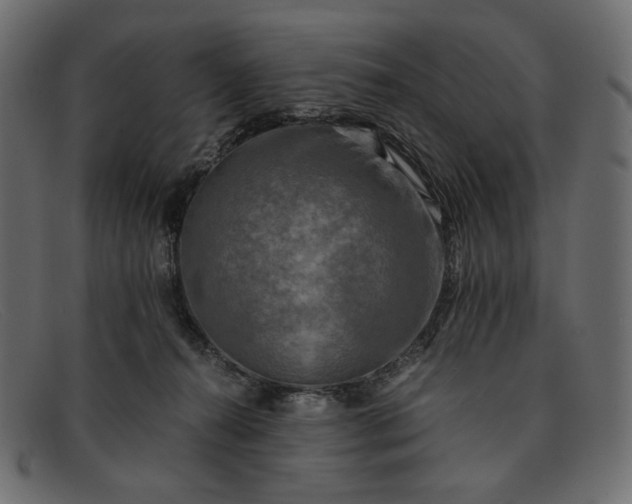 X0000091920272200709191345