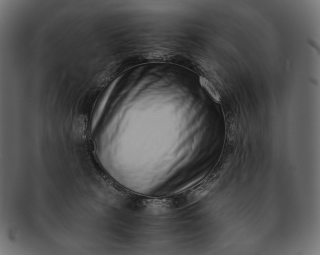 X0000091920273200709191346