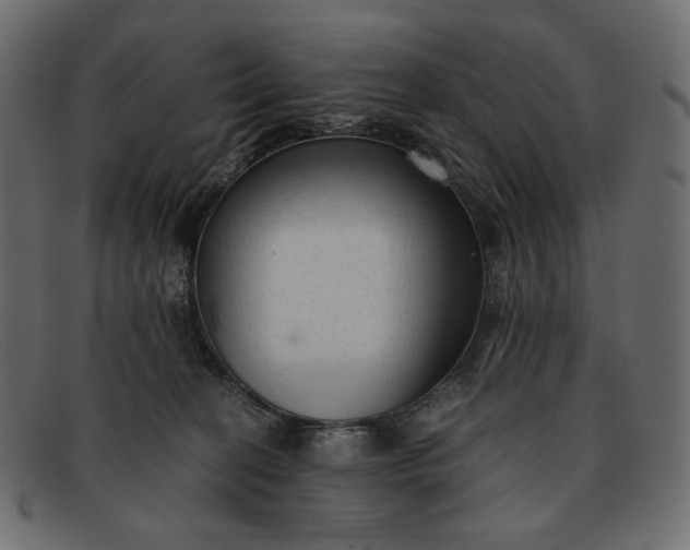 X0000091920274200709191346